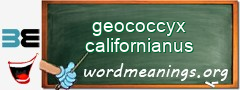 WordMeaning blackboard for geococcyx californianus